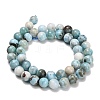 Natural Larimar Beads Strands GG-D001-A01-5