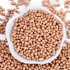 Baking Paint Glass Seed Beads X1-SEED-K010-A21-3