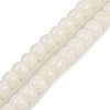Natural Bodhi Root Beads Strand WOOD-B010-A02-6x8mm-2
