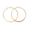 201 Stainless Steel Hoop Earrings EJEW-I245-01D-1