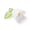 5Pcs Transparent Acrylic Pendants PALLOY-JF04703-01-4