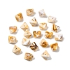 Opaque Acrylic Beads OACR-D320-02E-1