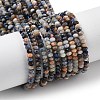 Natural Sodalite Beads Strands G-G189-C02-02-1