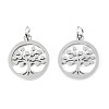 304 Stainless Steel Pendants LS-STAS-T046-JA350-1A-P-2