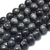 Natura Hawk's Eye Beads Strands G-D0001-22A-10mm-1