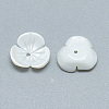 Freshwater Shell Beads SHEL-S275-013C-2