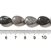 Natural Map Stone Beads Strands G-I377-A06-5