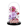 Arch Glass Dome Cover AJEW-WH0596-866D-03-1