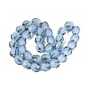 Handmade Lampwork Beads LAMP-Q039-18D-2