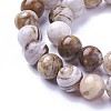 Natural America Petrified Wood Beads Strands G-P430-08-C-3
