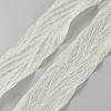 Polyester Pleated Ribbons SRIB-WH20020-005D-1