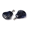 Natural Sodalite Pendants G-T138-208J-2