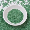 MIYUKI Delica Beads X-SEED-J020-DB0877-2