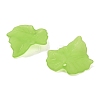 Frosted Acrylic Pendants FACR-G006-01A-2