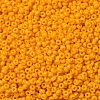 MIYUKI Round Rocailles Beads X-SEED-G007-RR4453-3