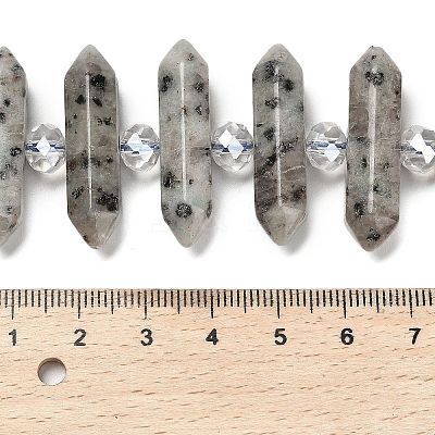 Natural Sesame Jasper Double Terminated Point Beads Strands G-H069-B05-01-1