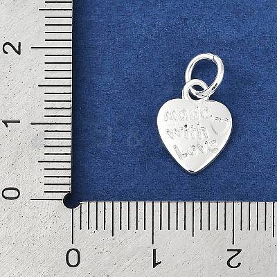 Alloy Charms FIND-H012-04S-1