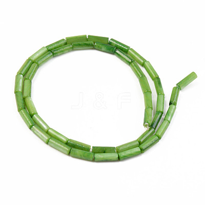 Natural Freshwater Shell Beads Strand SHEL-T017-40-1