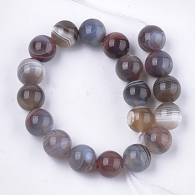 Natural Botswana Agate Beads Strands G-S333-10mm-026-1