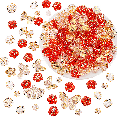 Transparent Acrylic Beads OACR-PH0004-32B-1
