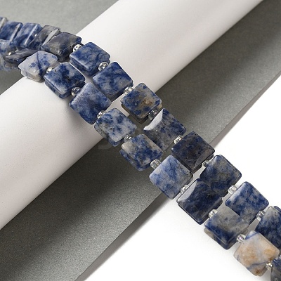 Natural Blue Spot Jasper Beads Strands G-L596-A07-01-1