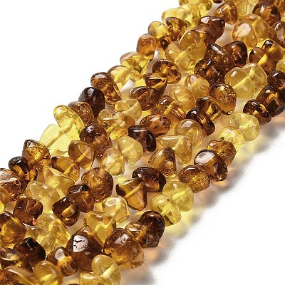 Natural Amber Beads Strands G-L095-L01-04-1