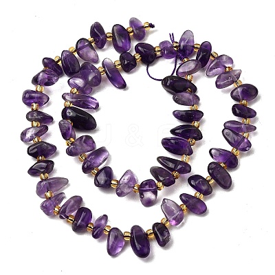 Natural Amethyst Beads Strands G-Z091-A13-1