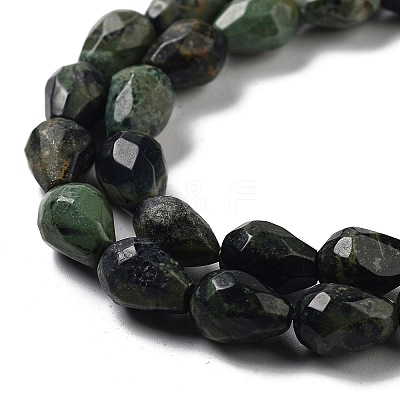 Natural Kambaba Jasper Beads Strands G-P520-B19-01-1