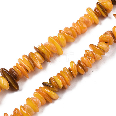 Natural Freshwater Shell Beads Strands SHEL-S278-071C-1