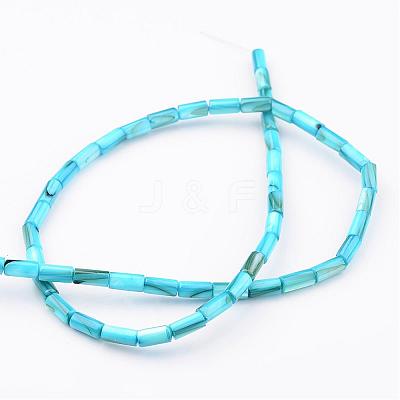 Natural Shell Bead Strands BSHE-P016-06-1