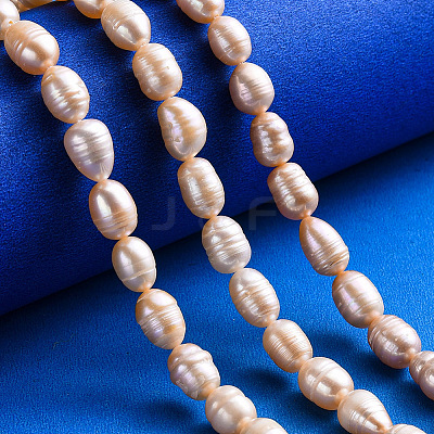Natural Cultured Freshwater Pearl Beads Strands PEAR-N012-07G-1