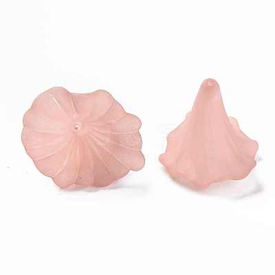 Transparent Acrylic Beads BSF796-C11-1