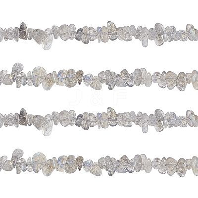Natural Labradorite Bead Strands G-GL0001-03-1