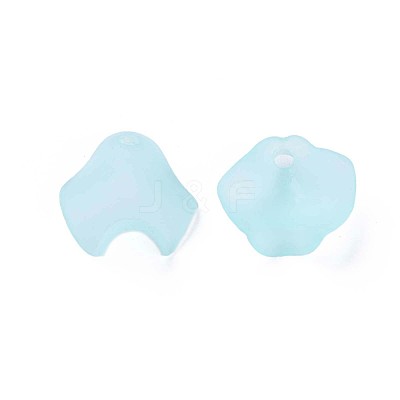 Transparent Acrylic Beads MACR-S373-106-D04-1