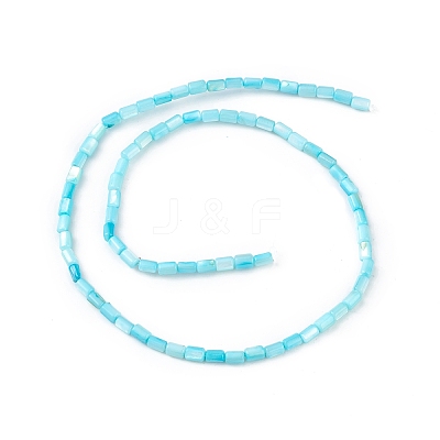Natural Freshwater Shell Dyed Beads Strands SHEL-M018-12-05-1