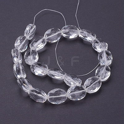 Glass Bead Strands GLAA-S003-16x13mm-14-1