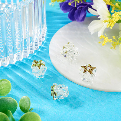 4Pcs Handmade Lampwork Beads LAMP-TA0002-24D-1