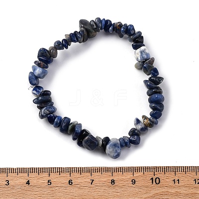 Unisex Chip Natural Sodalite Beaded Stretch Bracelets BJEW-S143-21-1