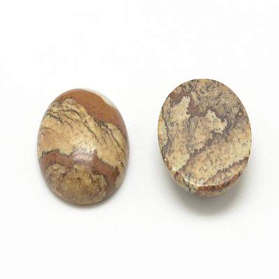 Natural Picture Jasper Cabochons G-R415-14x10-42-1