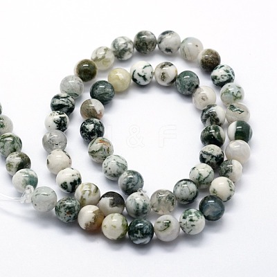 Natural Tree Agate Beads Strands X-G-I199-03-6mm-1