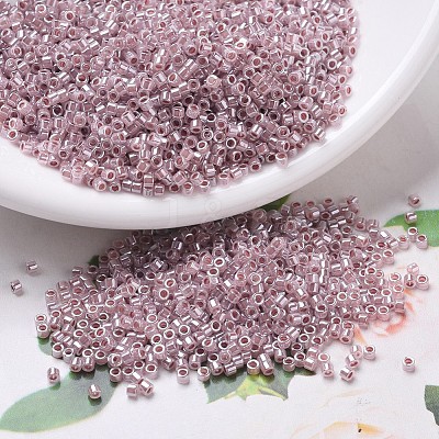 MIYUKI Delica Beads SEED-J020-DB0256-1