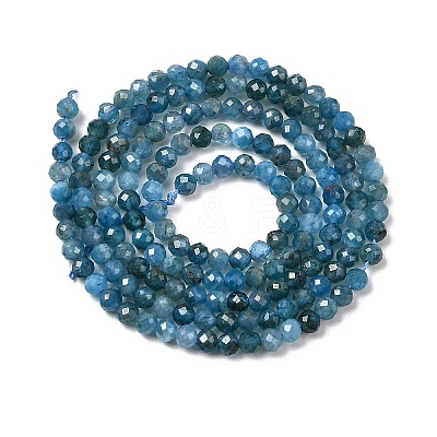 Natural Apatite Beads Strands G-K366-C07-2mm-1