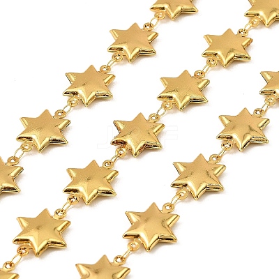 304 Stainless Steel Star Link Chains CHS-G042-03G-02-1