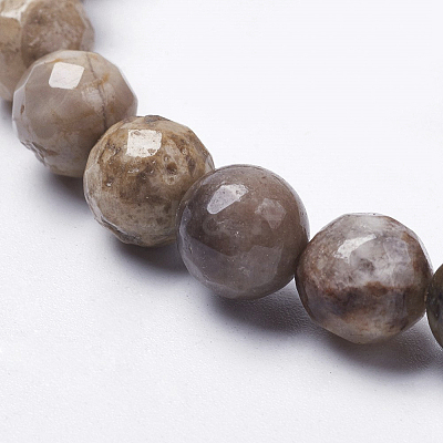 Natural Silver Leaf Jasper Beads Strands X-G-K181-6mm-O01-1