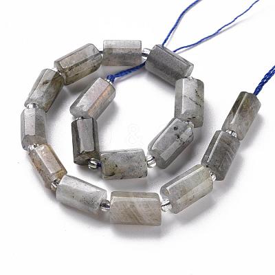 Natural Labradorite Beads Strands G-S345-8x11-001-1