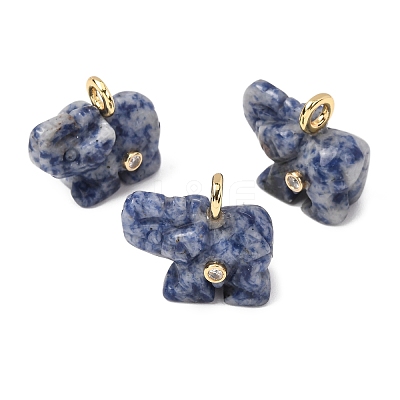 Natural Blue Spot Jasper Carved Pendants G-H357-01G-10-1
