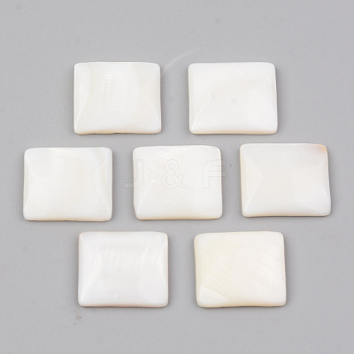 Natural Freshwater Shell Cabochons SHEL-R049-019-1