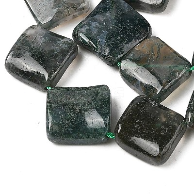Natural Moss Agate Beads Strands G-L239-16-1