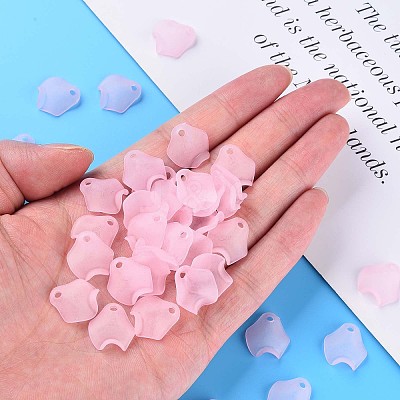 Transparent Acrylic Beads MACR-S373-106-D05-1
