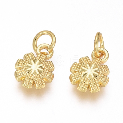 Electroplated Alloy Charms PALLOY-G267-11G-1